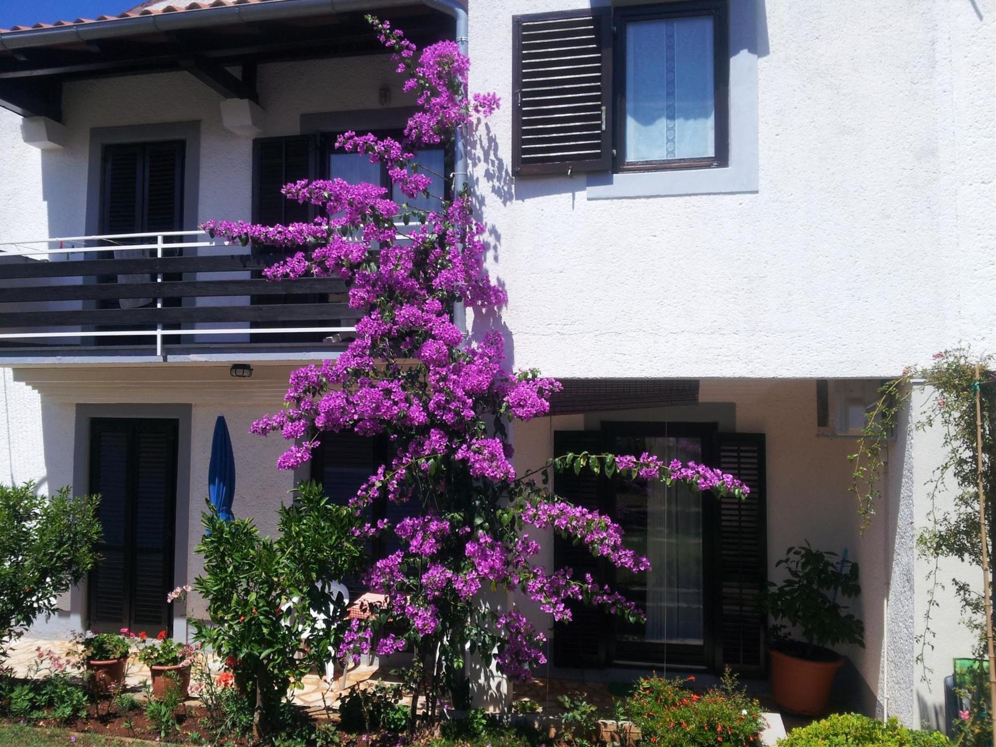 Apartments Barac Porec Exterior photo